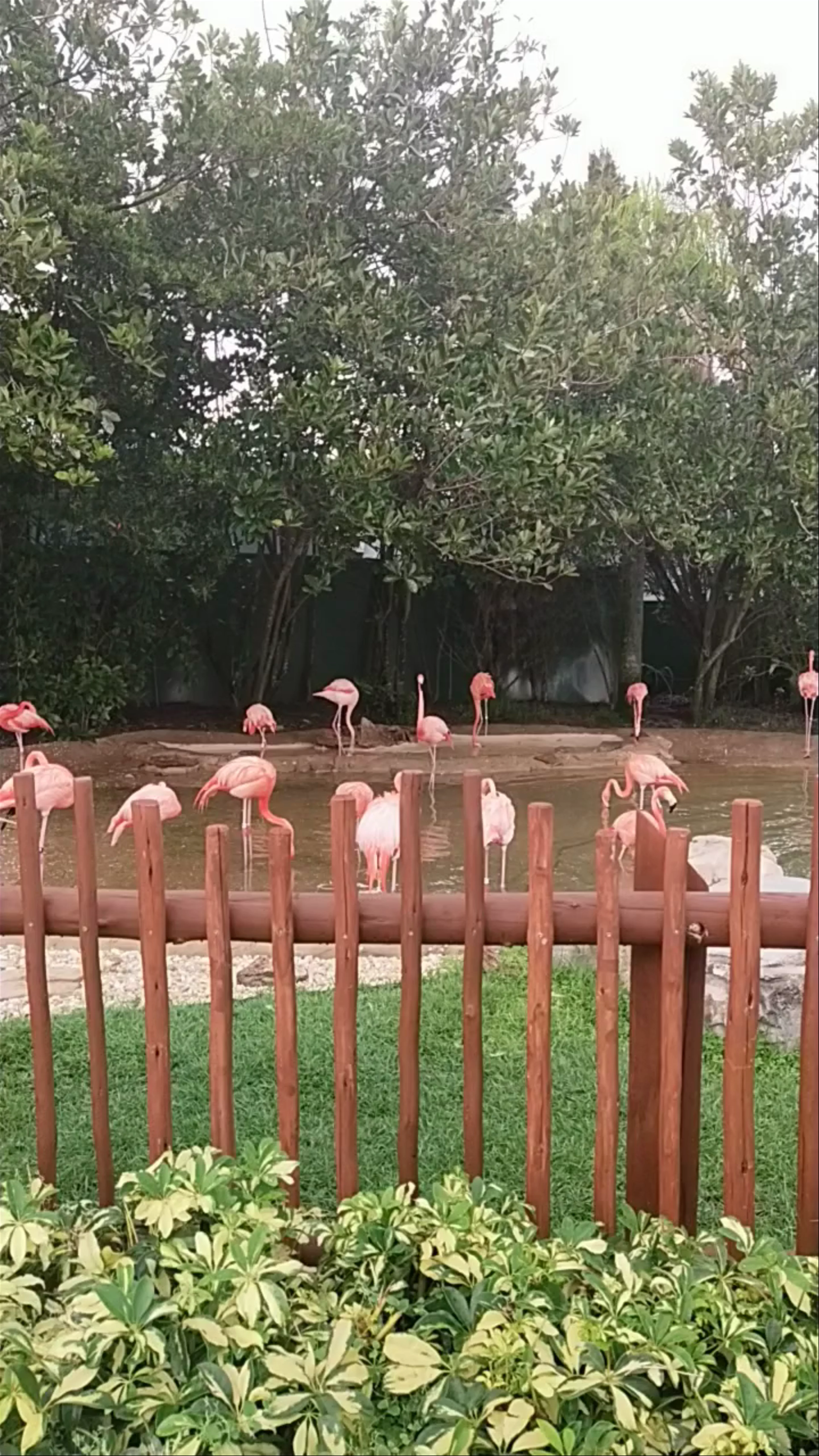Aquatica Orlando