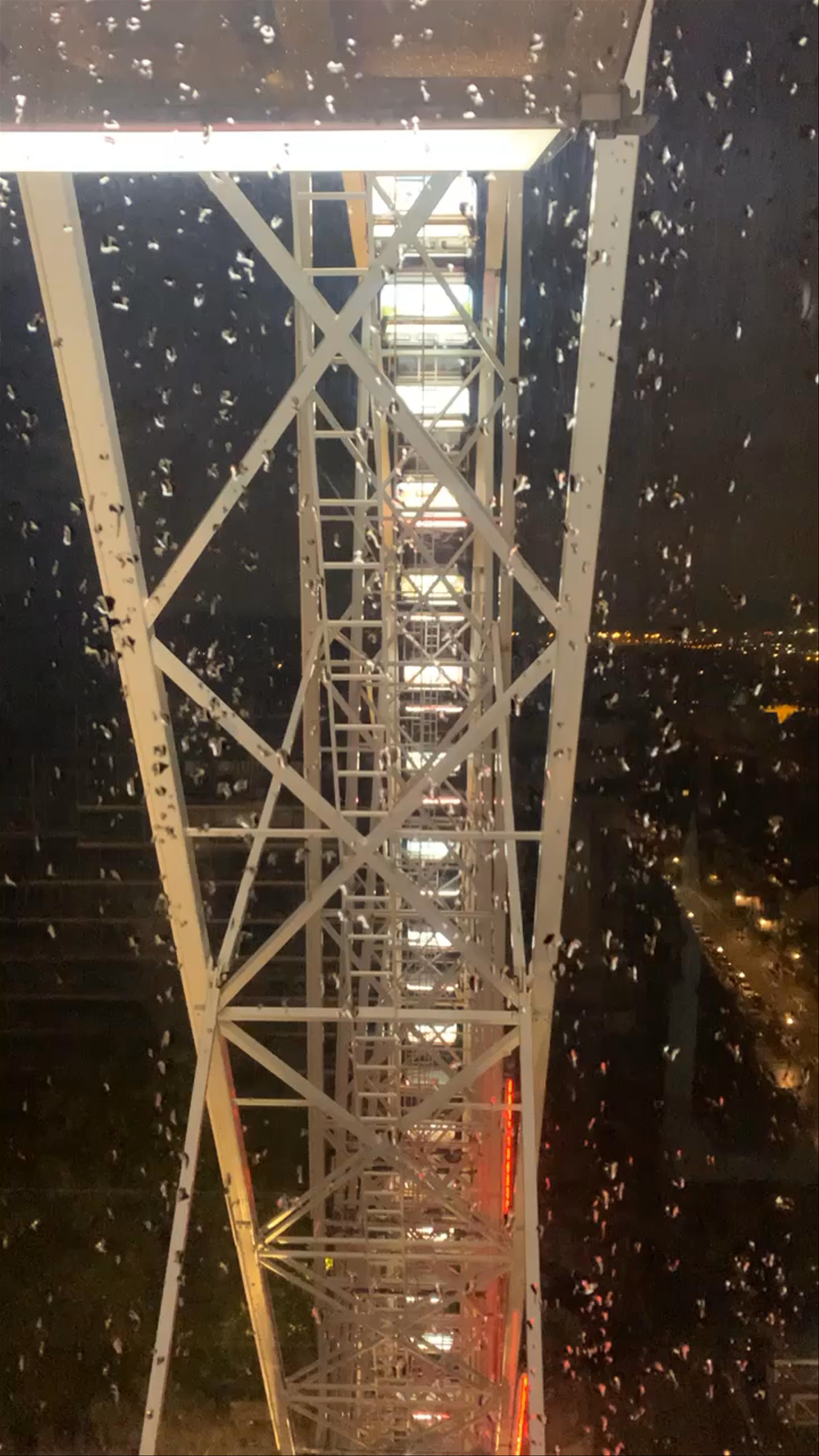 The Giant Wheel: The View