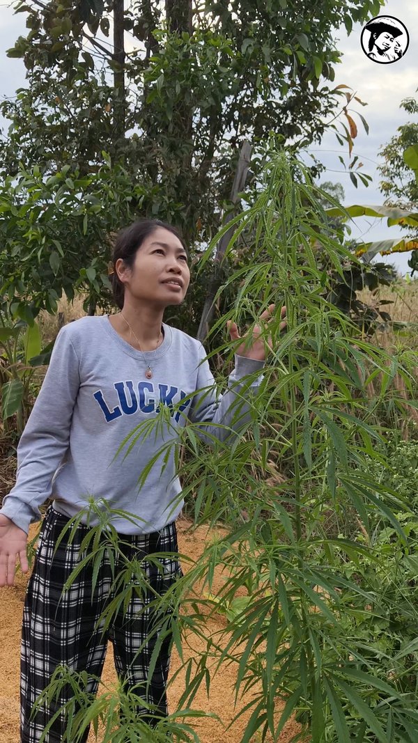 Mekhong Classic - 10 dec. 2025 - Prempavee Farm