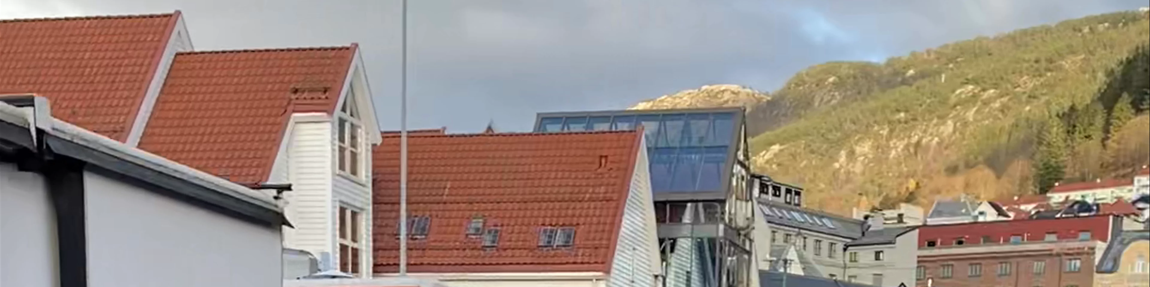 Torgrt Food Market