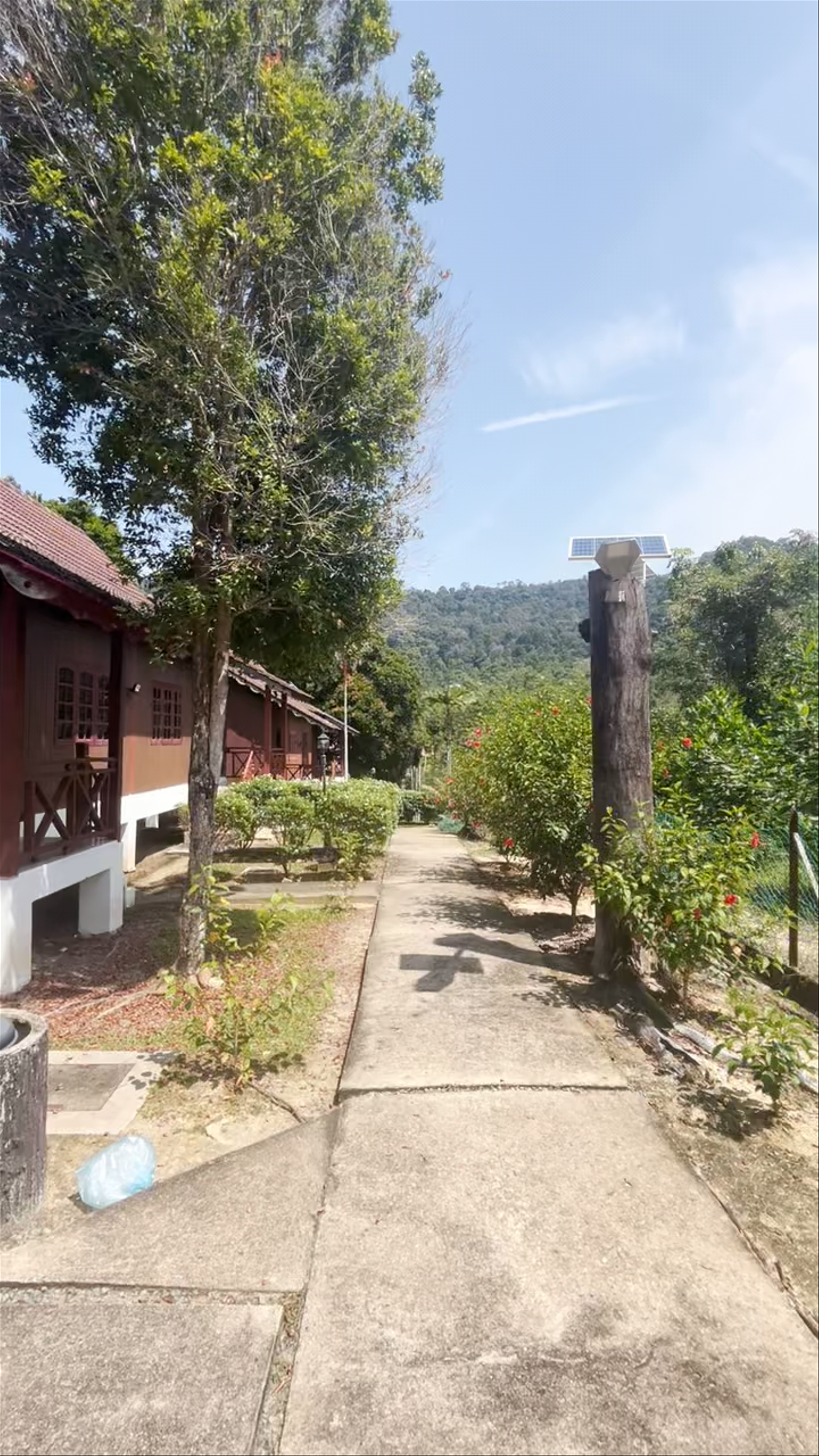 Tekoma Resort Taman Negara