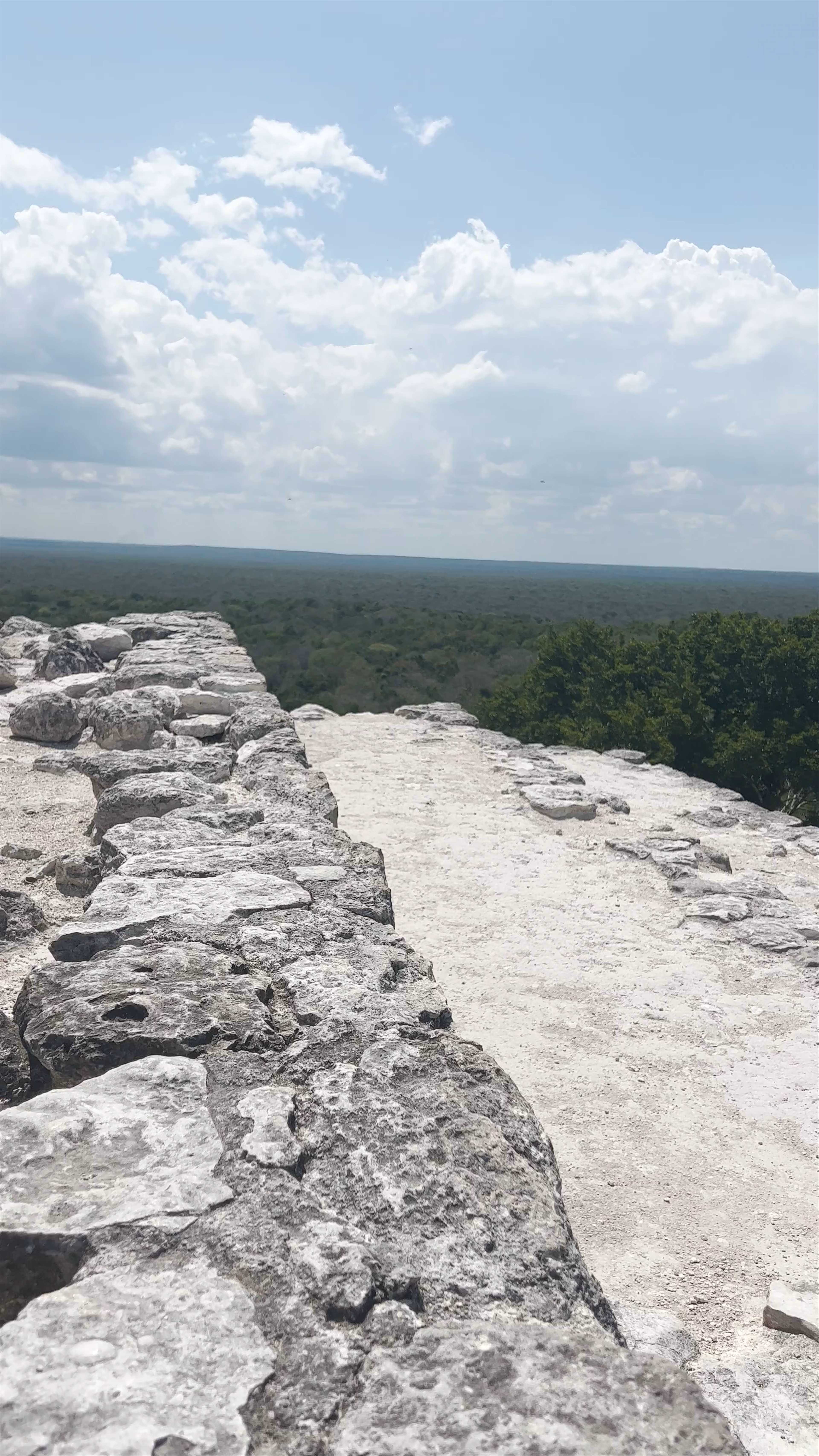 Estructura 2 Calakmul