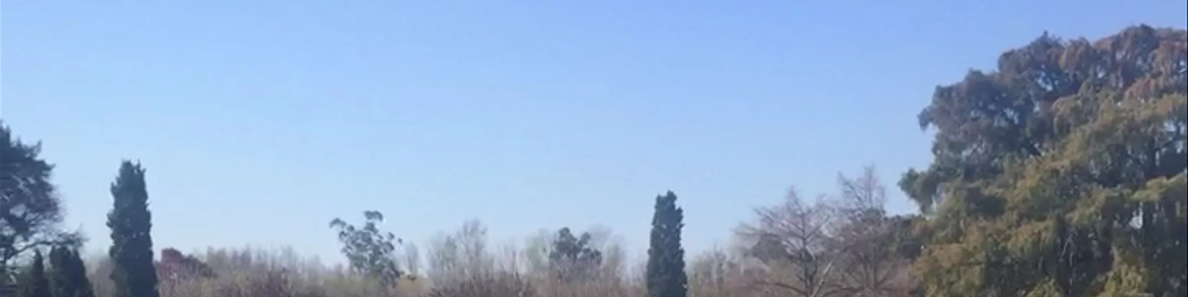 Cruising down the Tigre Delta 