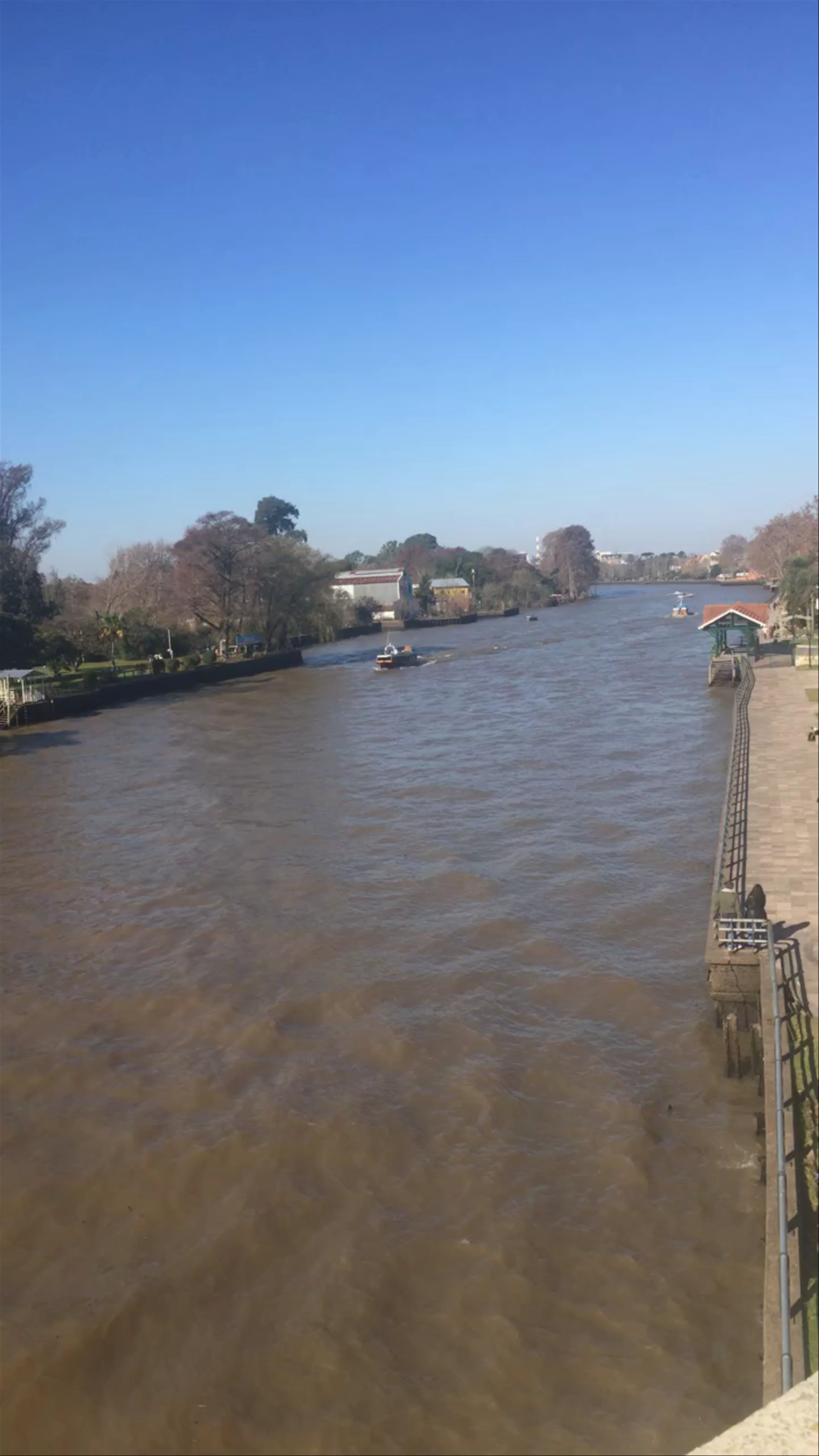Delta, Tigre