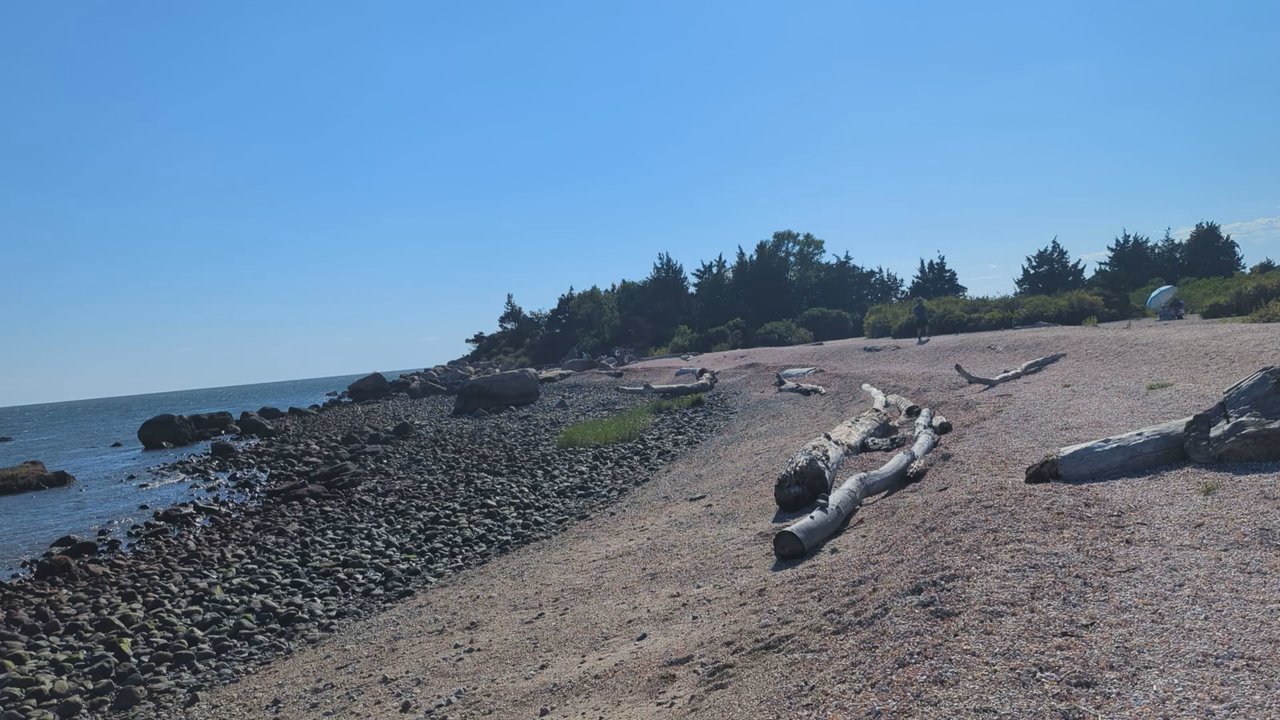 Meig's Point Nature Center - Parks Near Me - Madison, Connecticut