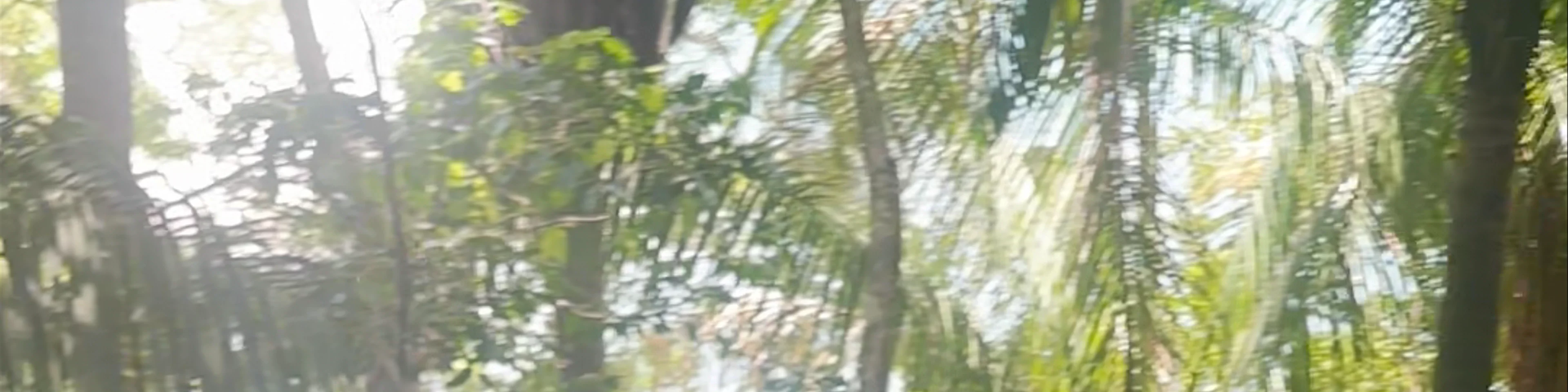 Manuel Antonio National Park