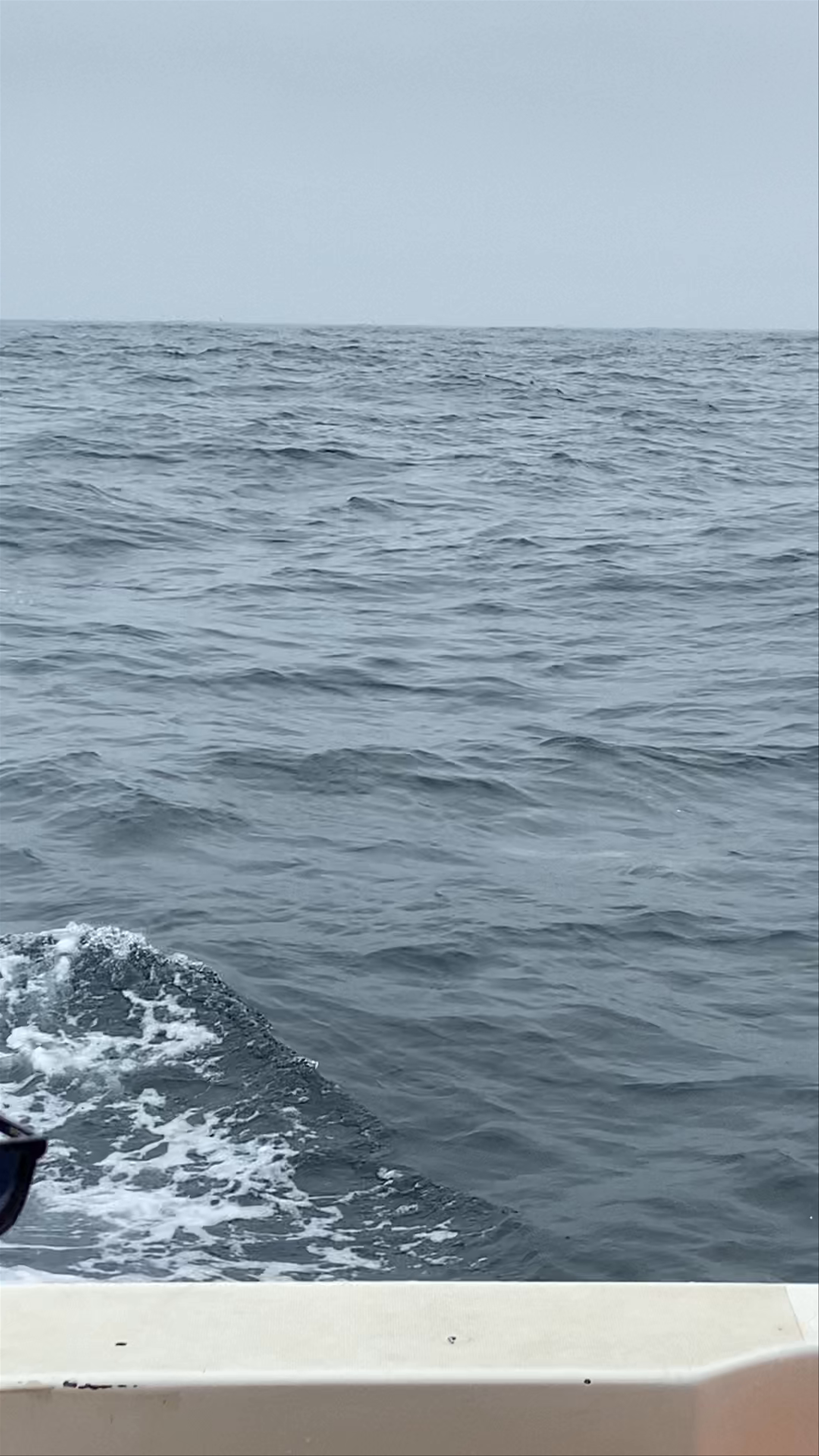 Berlengatur/ Berlengoest Lda