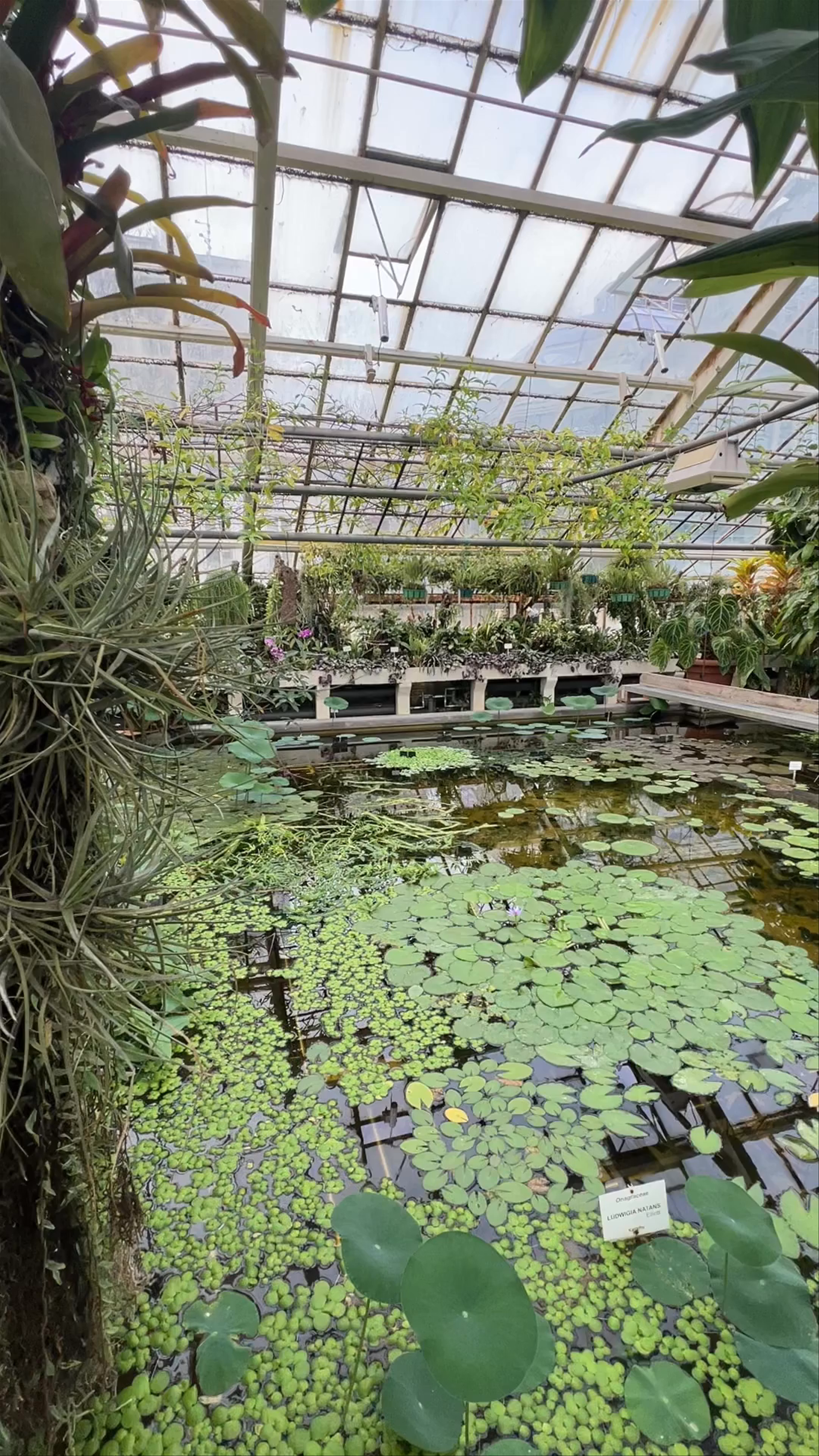 Botanical Garden of the Jagiellonian University