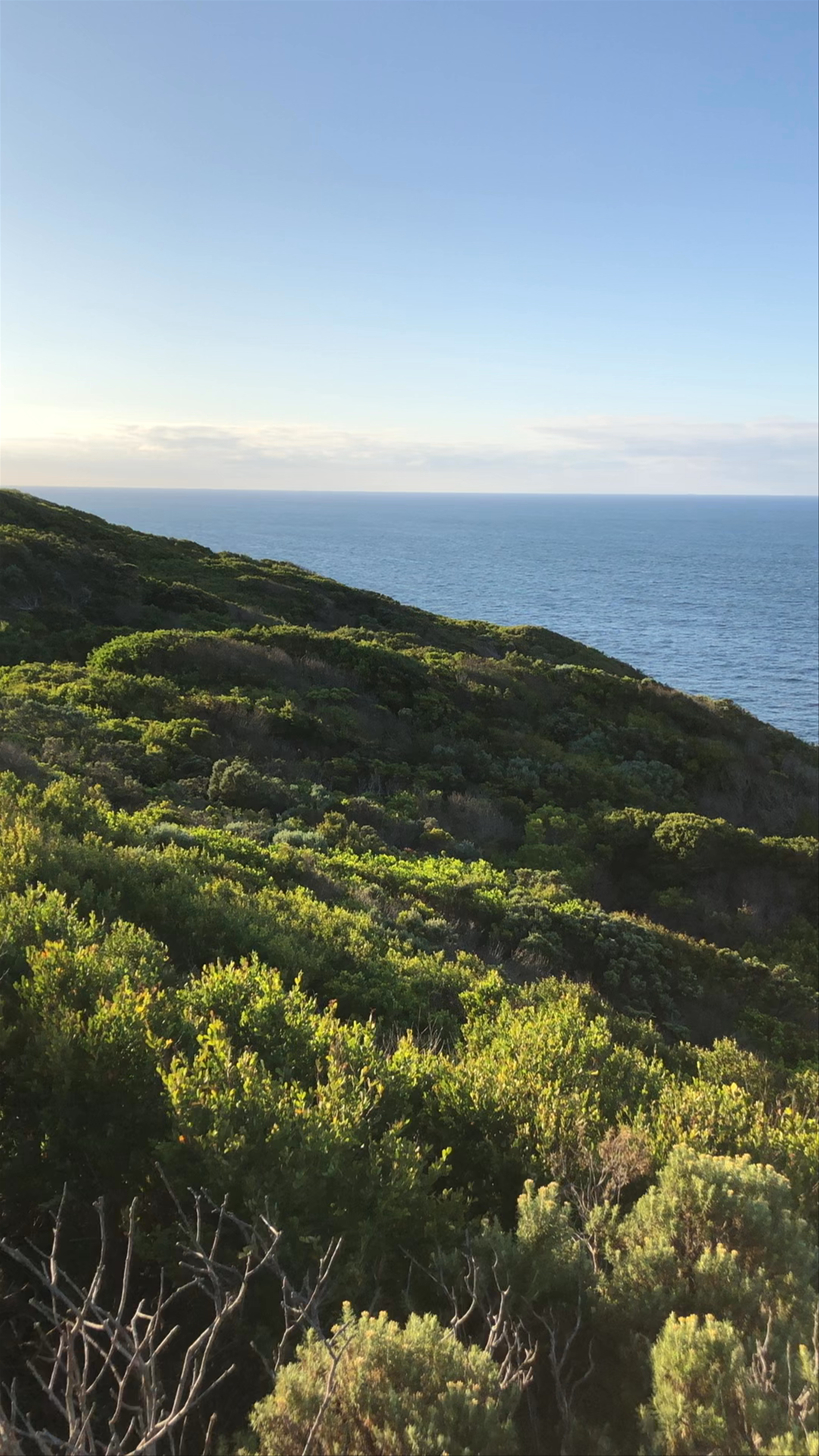 Cape Otway Light station Lookout