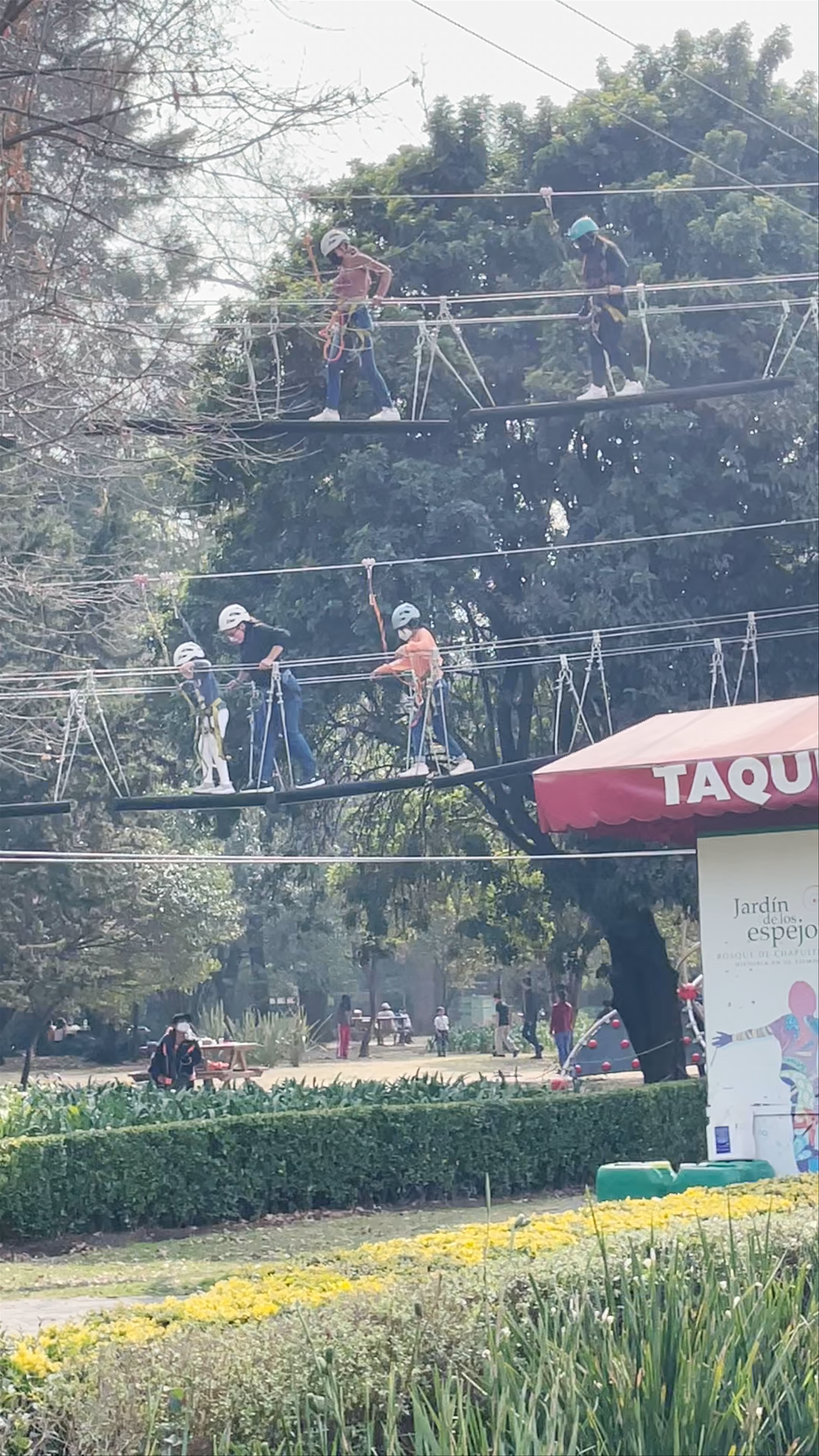 Jardín de los espejos