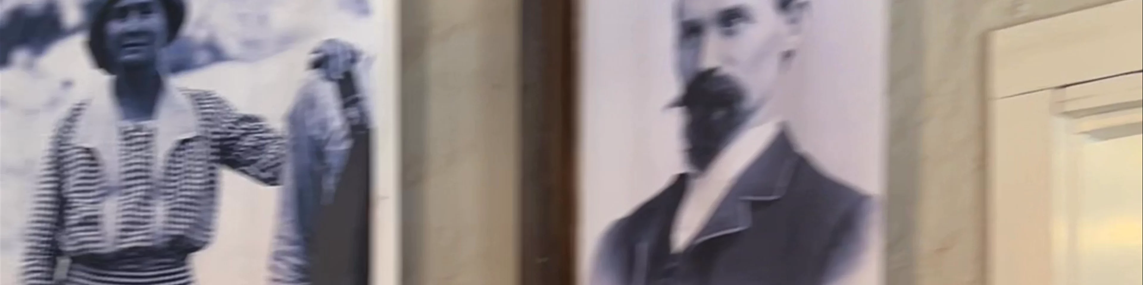 Lane House & Museum