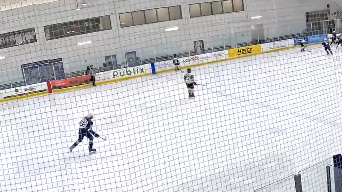 Mason Crimmins: Nest Hockey Goal vs Gulf Coast Flames