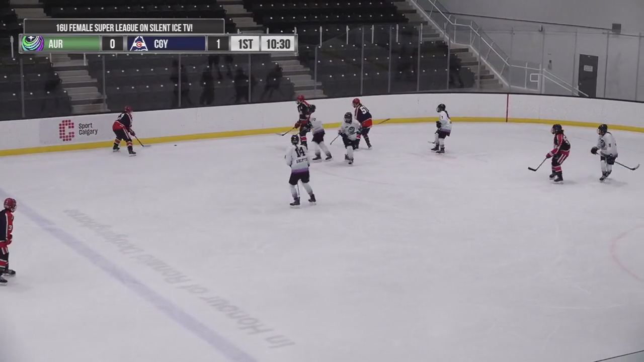 Fyona Meagher #11:  Stealth Goal |Calgary Glaciers 16U