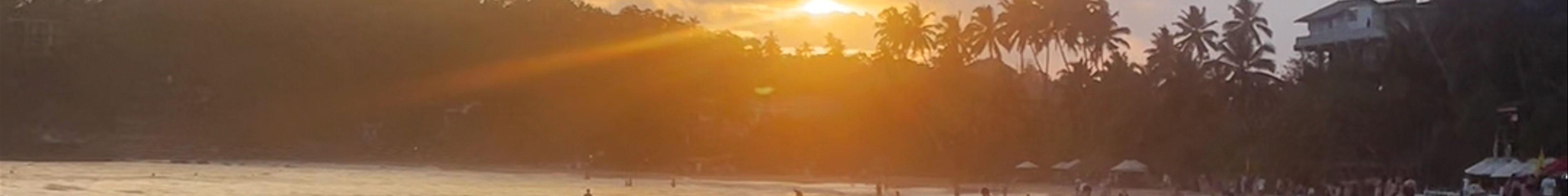 Tours & experiences in Mirissa city