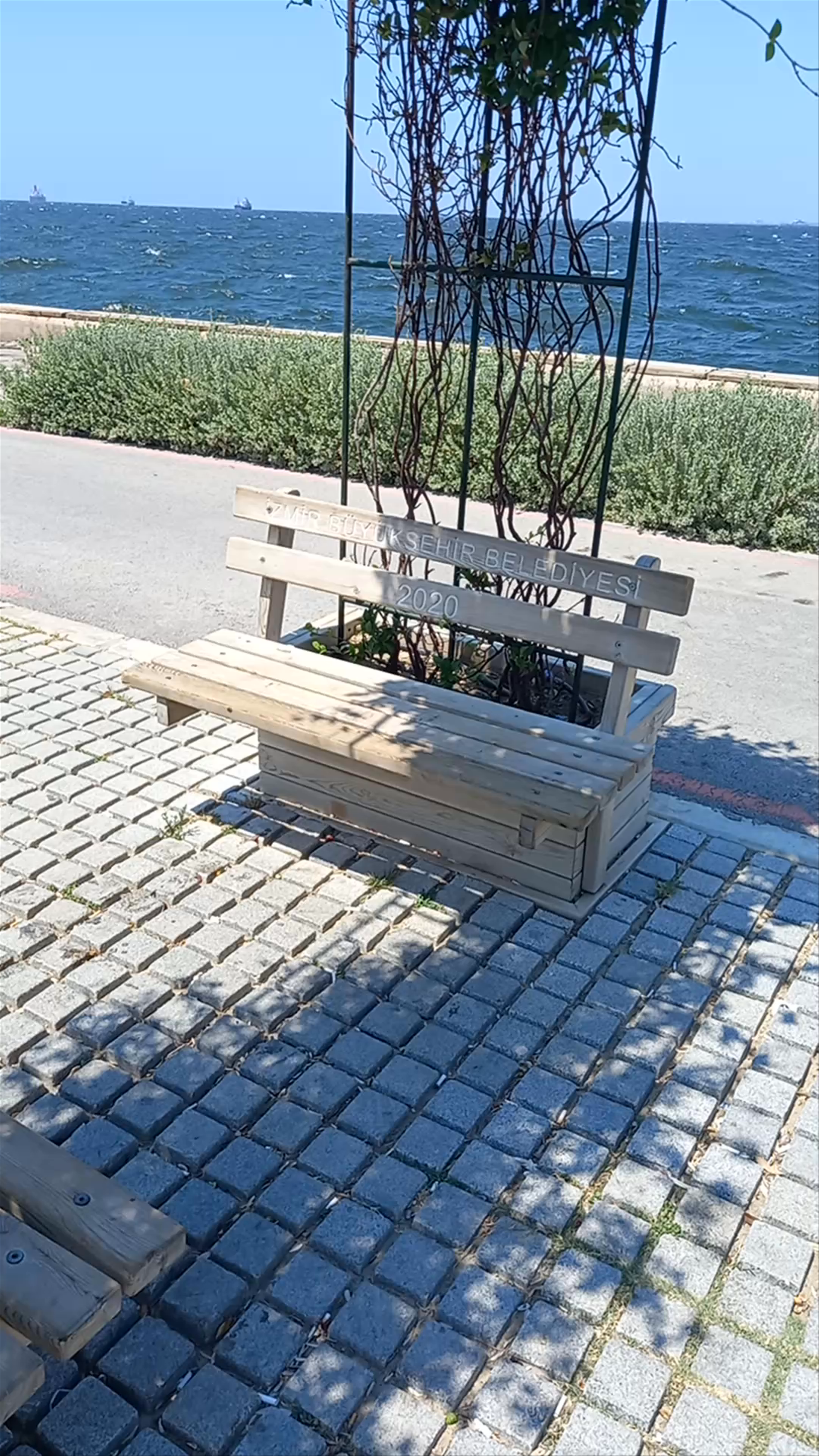 Kültür