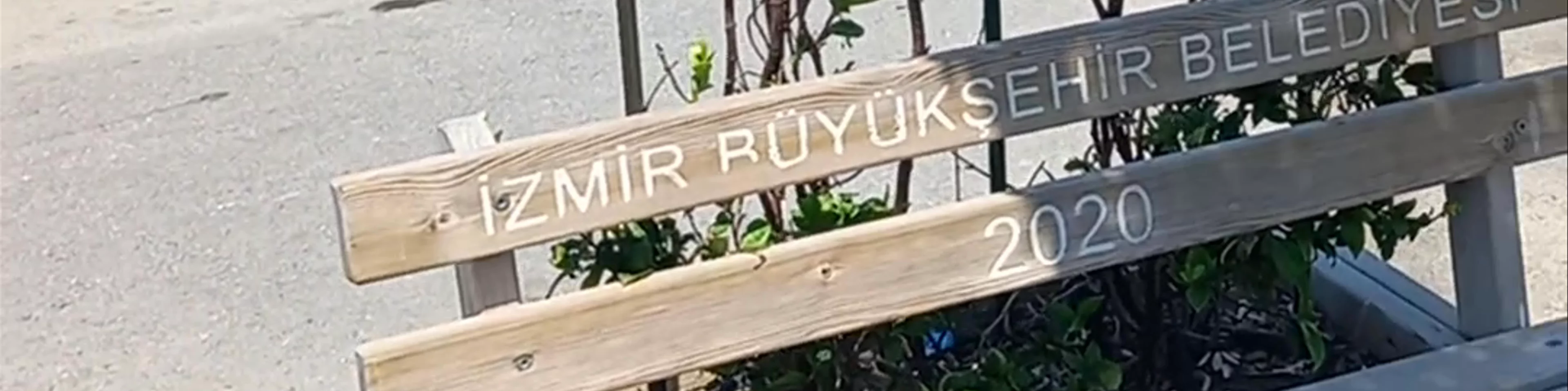 Kültür
