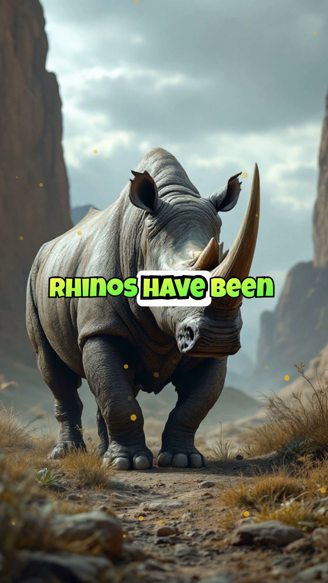 Incredible Rhino Facts You Didn't Know!
