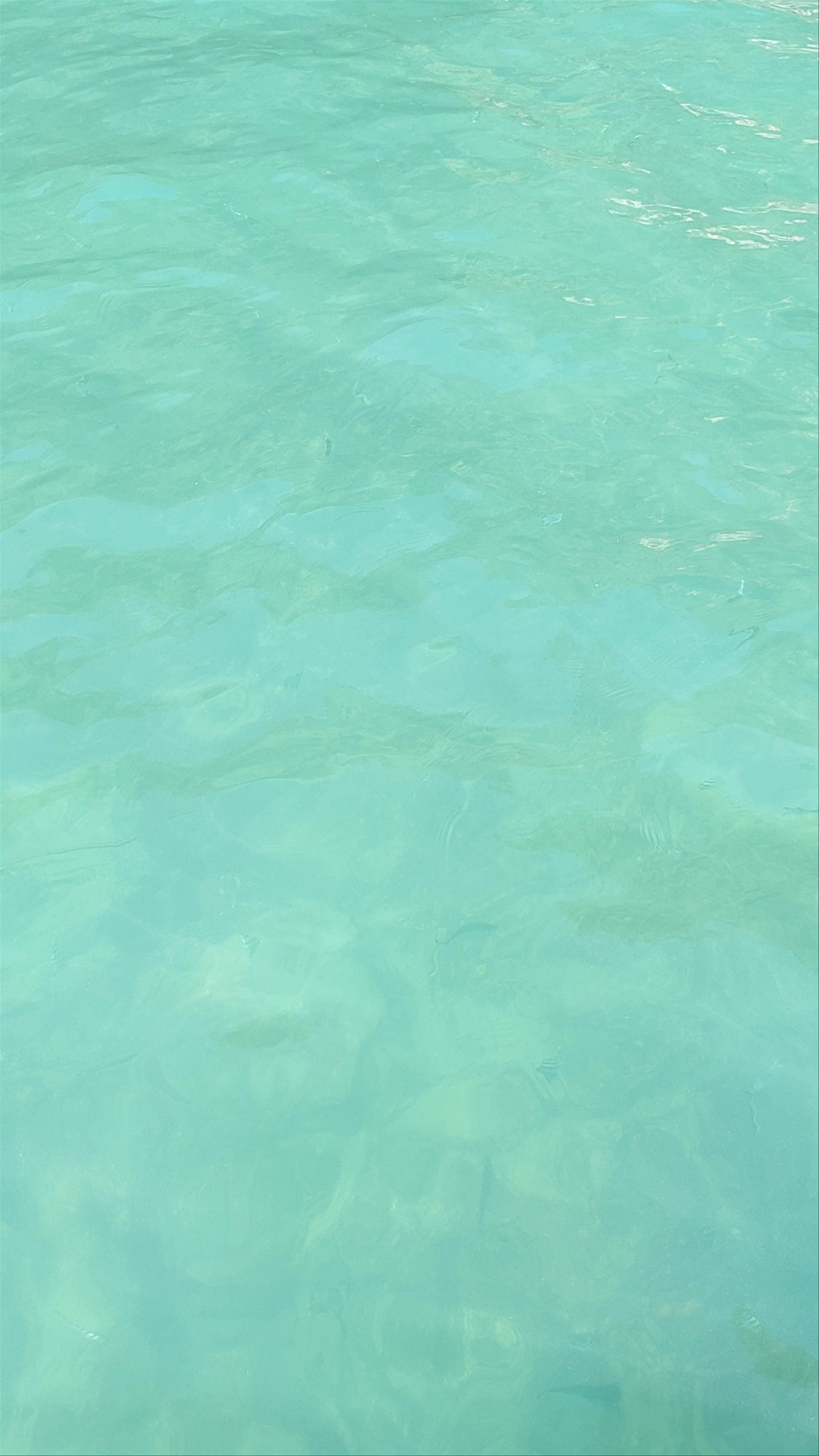 Hong Island