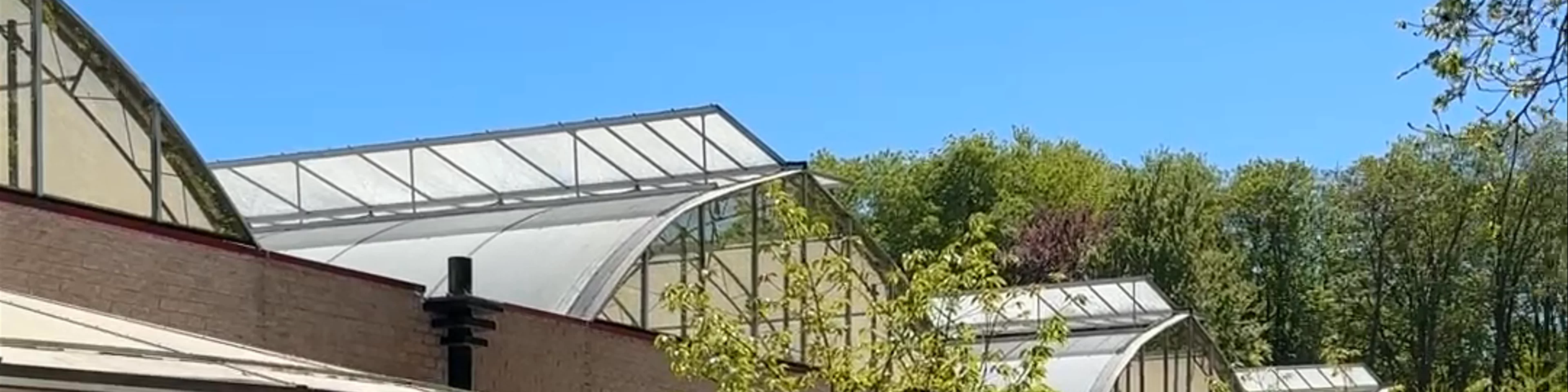 Keukenhof