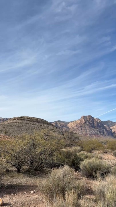 Wheeler Camp Springs Loop - VIEWS - Hiking Near Me