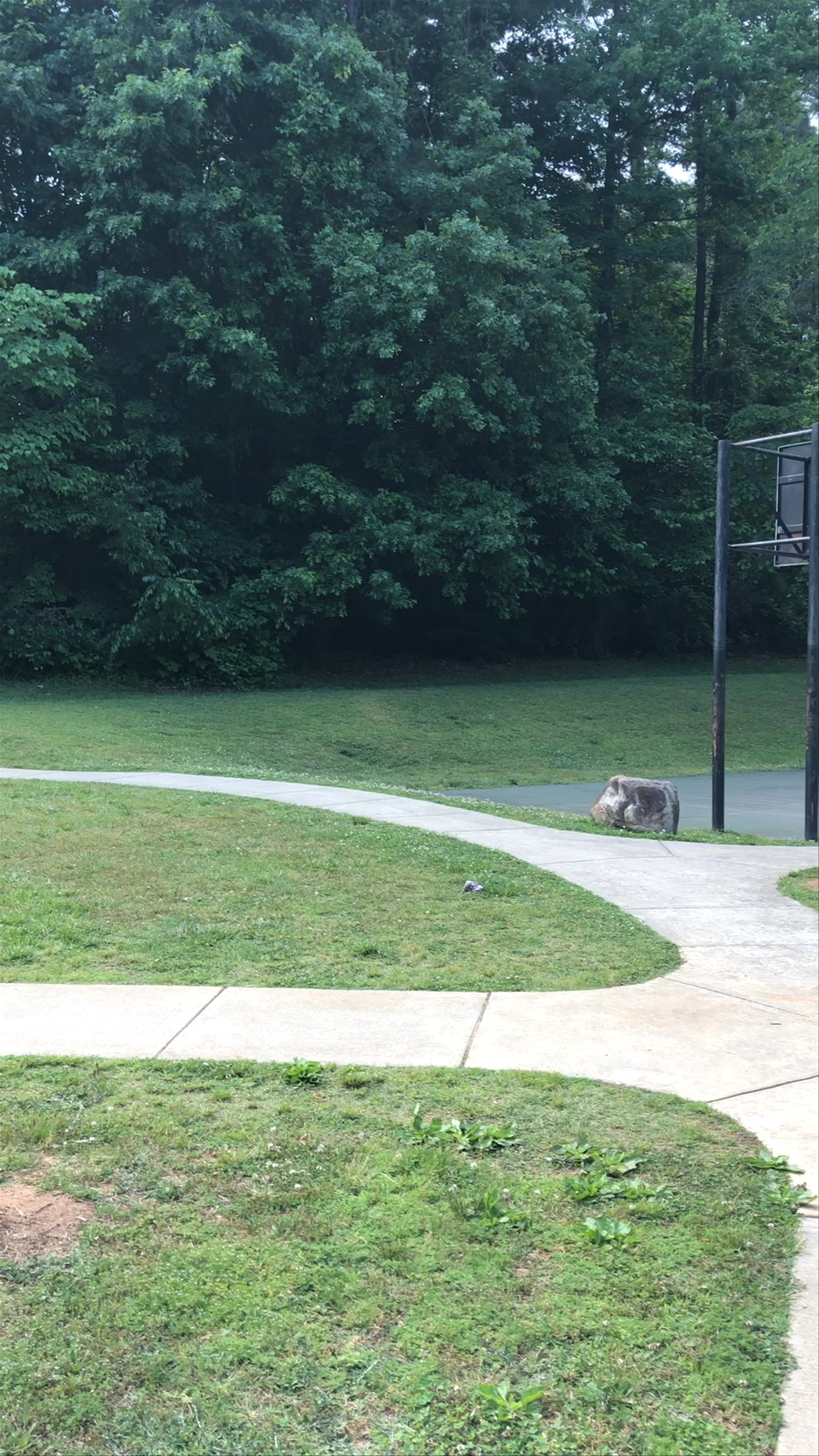 Umstead Park