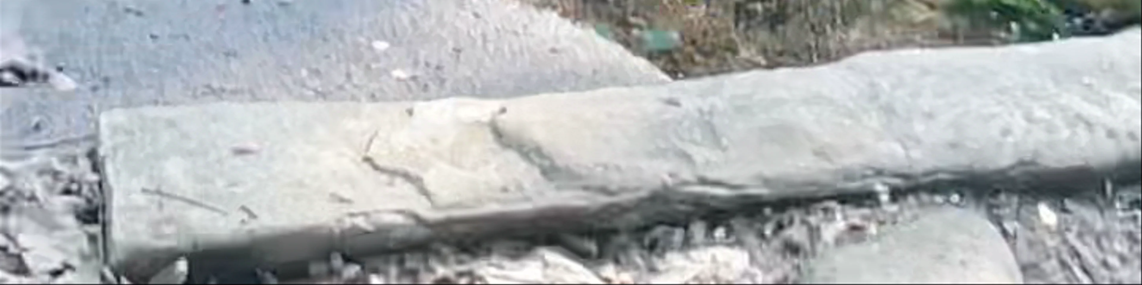 Piscilago