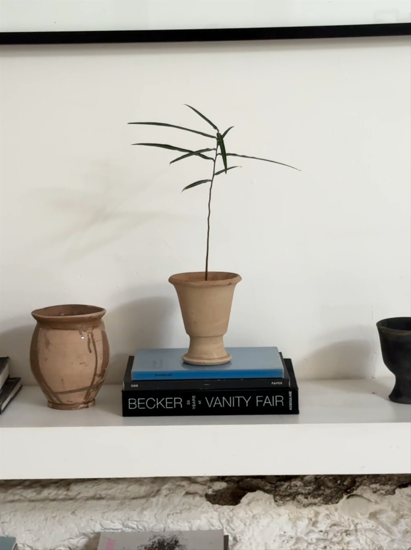 Mini Egyptian Cup Planter