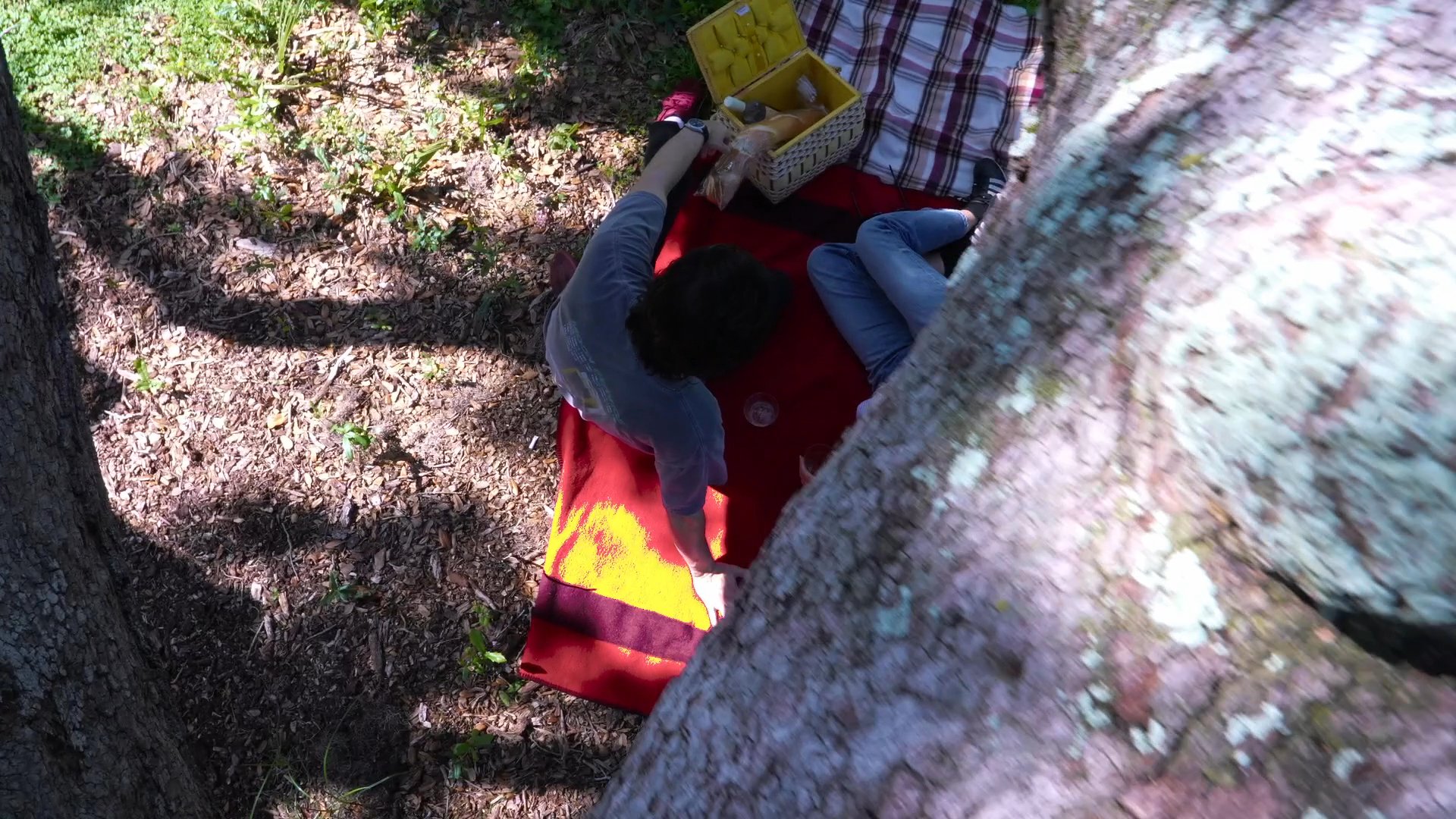 A couple enjoys a relaxed afternoon together, sharing drinks and conversation on a picnic blanket beneath the shade of a large tree.