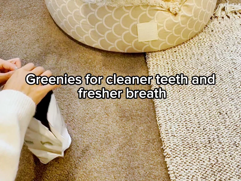 Greenies Dental Treats for Dogs