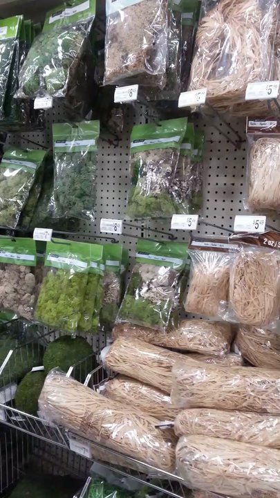 Michaels - Fairy Garden Moss :) - Arts & Crafts Near Me - Jacksonville, Florida