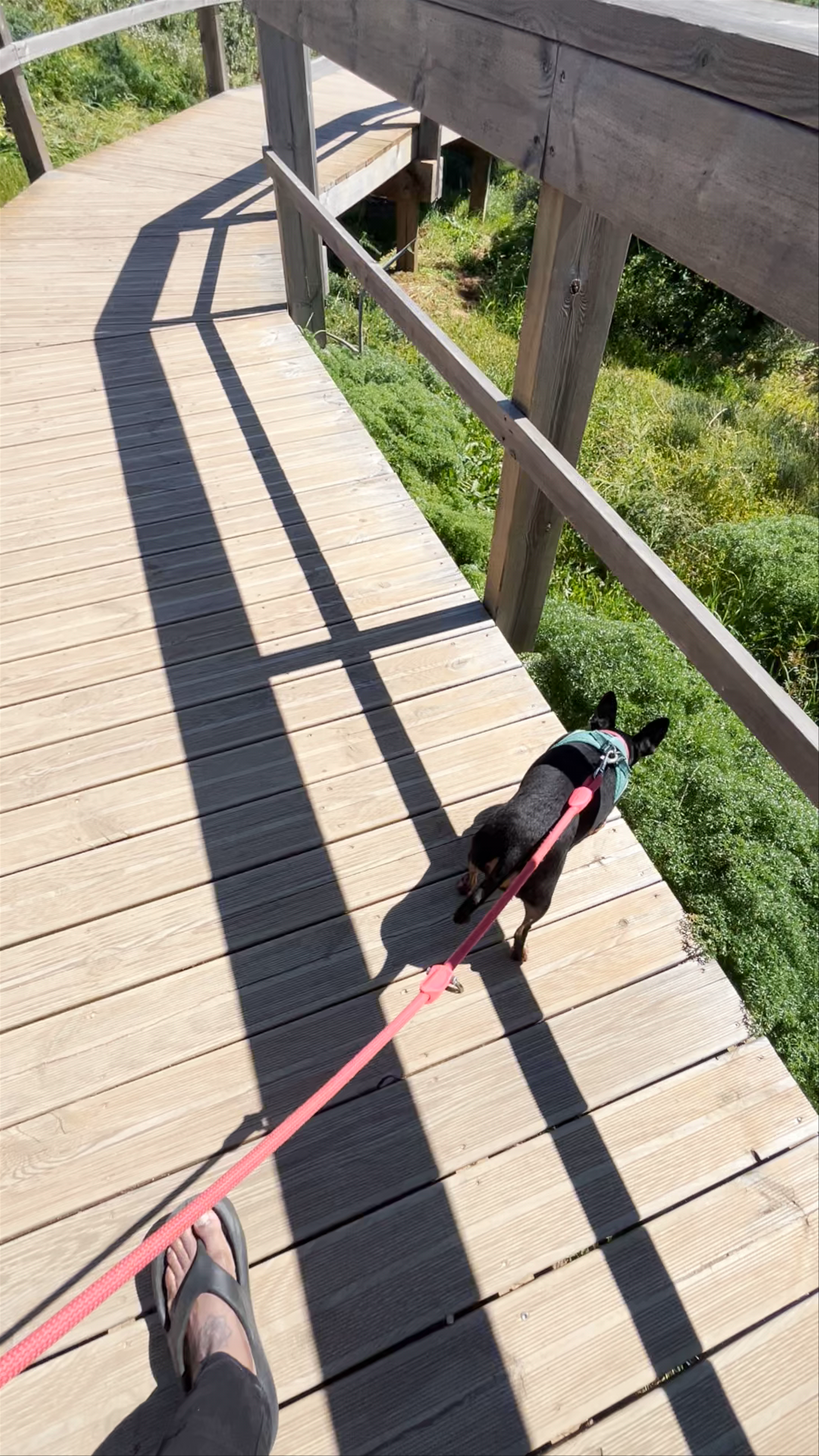 Passadiços da Ponta da Piedade