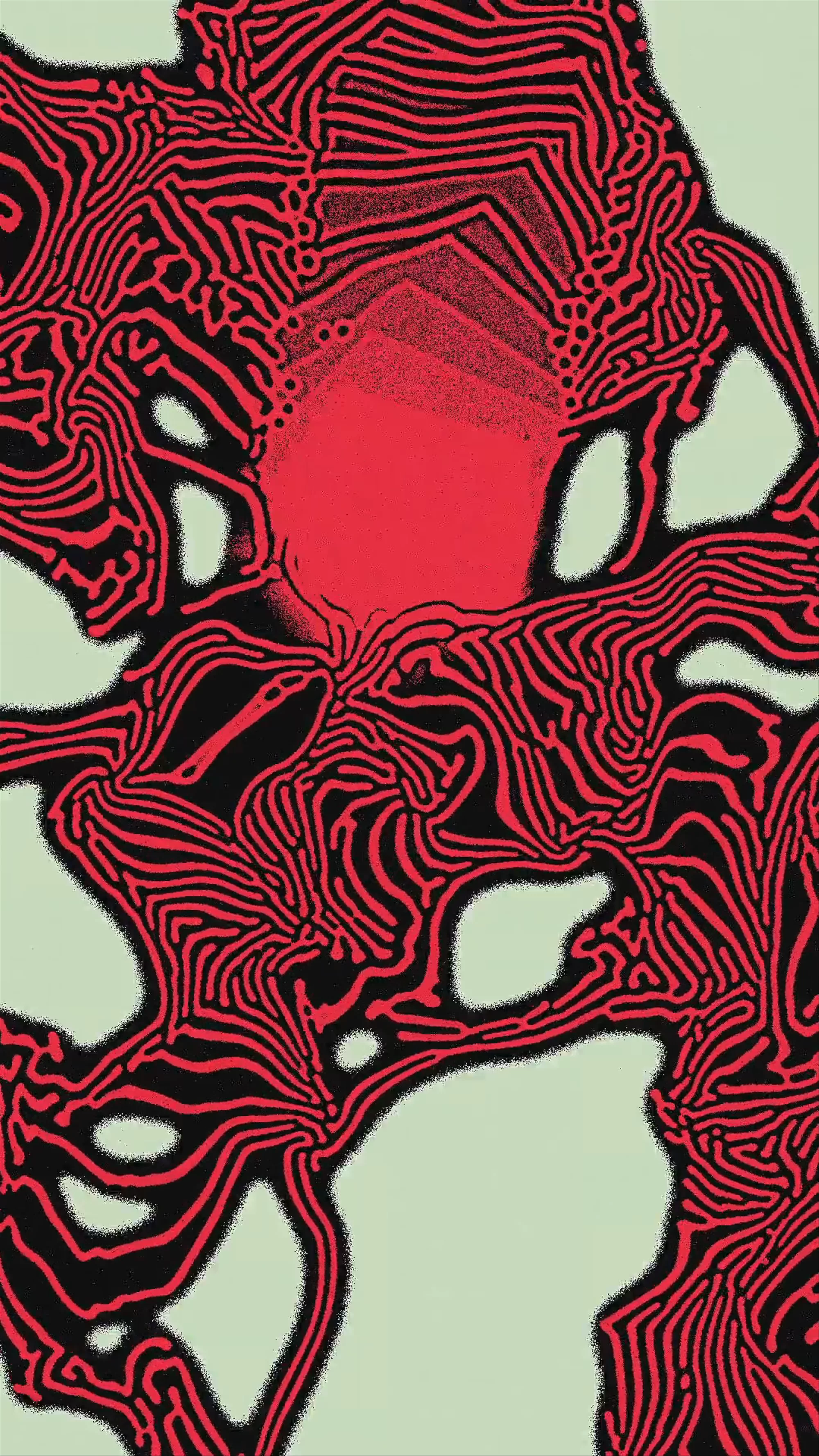 Variant B