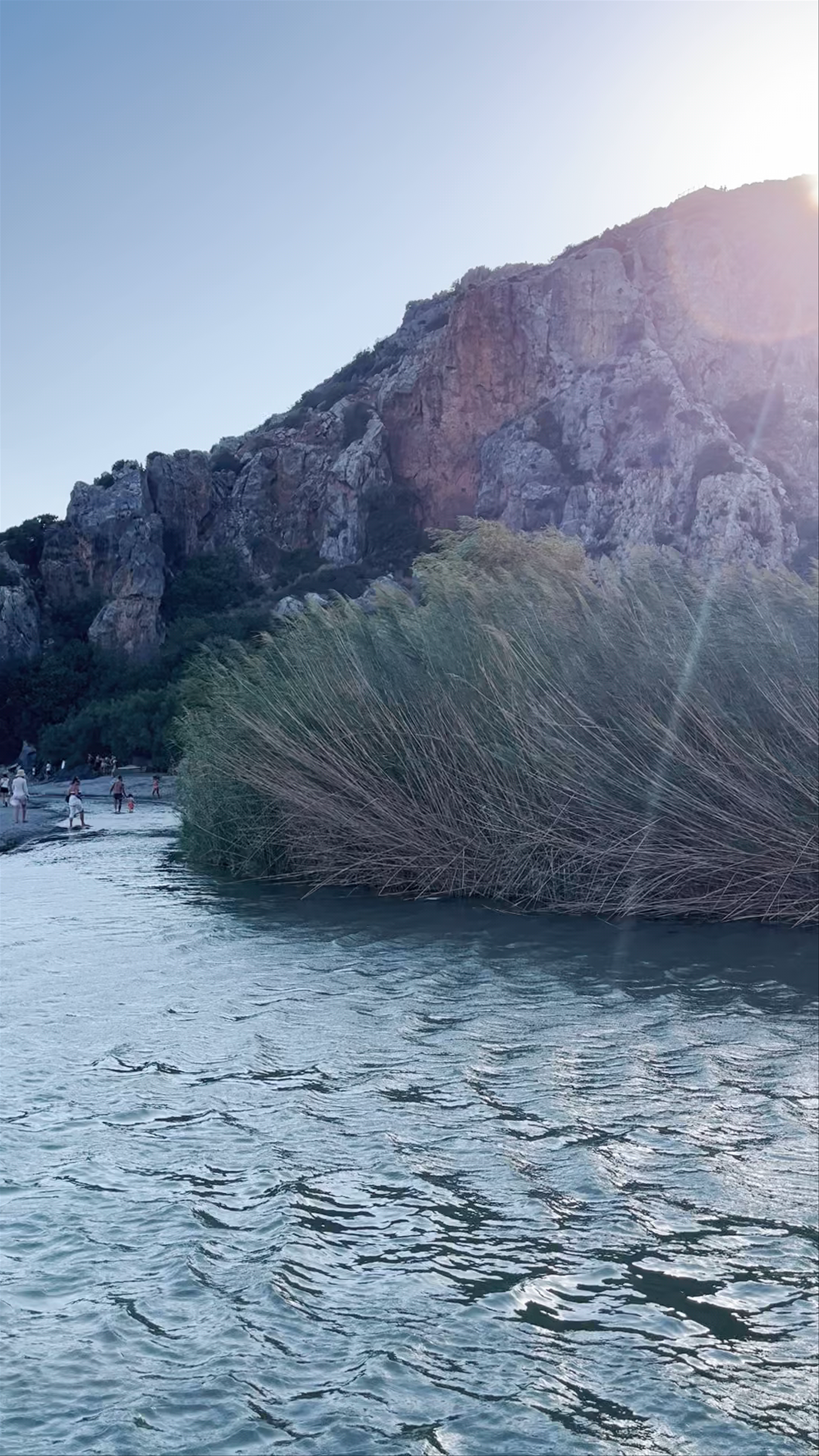 Preveli Palm Forest