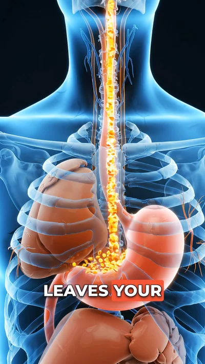 AI-generated video: What Coffee Does Inside Your Body