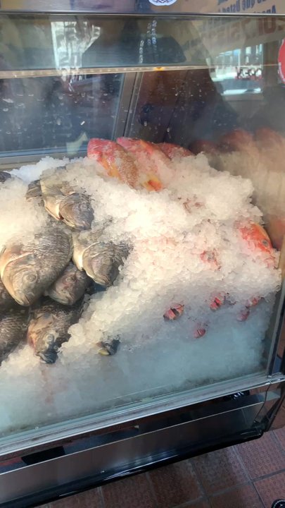 FANCY FISH MARKET - Updated June 2026 - 30 Photos & 22 Reviews - 5201 ...