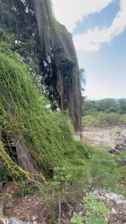 Kalaeloa Heritage Park - Parks Near Me - Kapolei, Hawaii