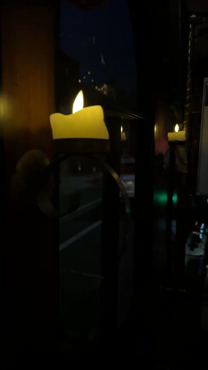 Madame Morbid's Trolley Tours - Historical Tours Near Me - Brooklyn, New York