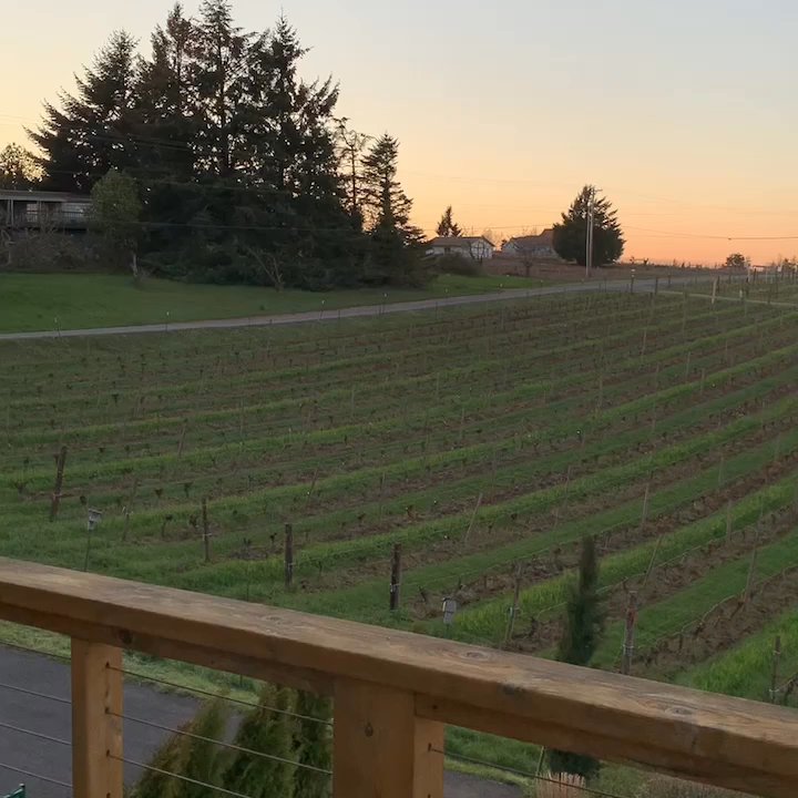 Brooks Wine - Wineries Near Me - Amity, Oregon