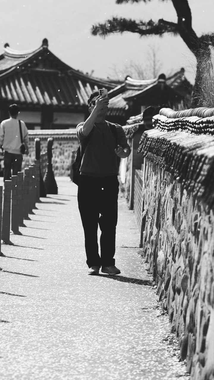 心が洗われる
🎥 정규송 Nui MALAMA · Pexels
#日本 #旅行 #絶景 #風景 #japan