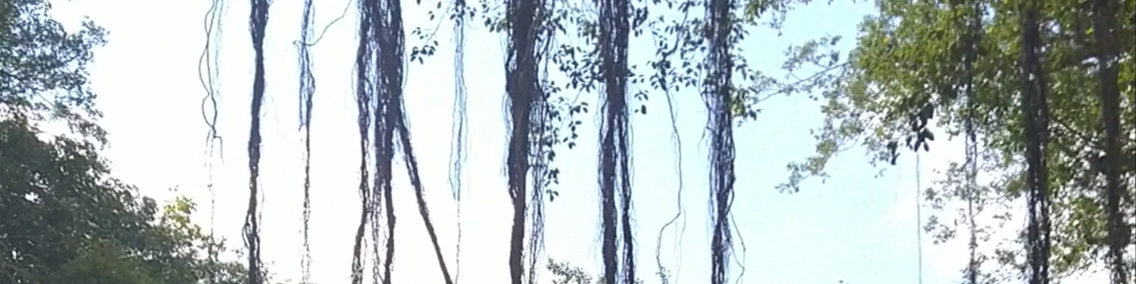 Parque De Santa Ana