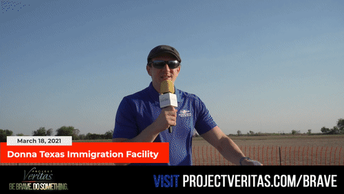 Video Thumbnail Loop