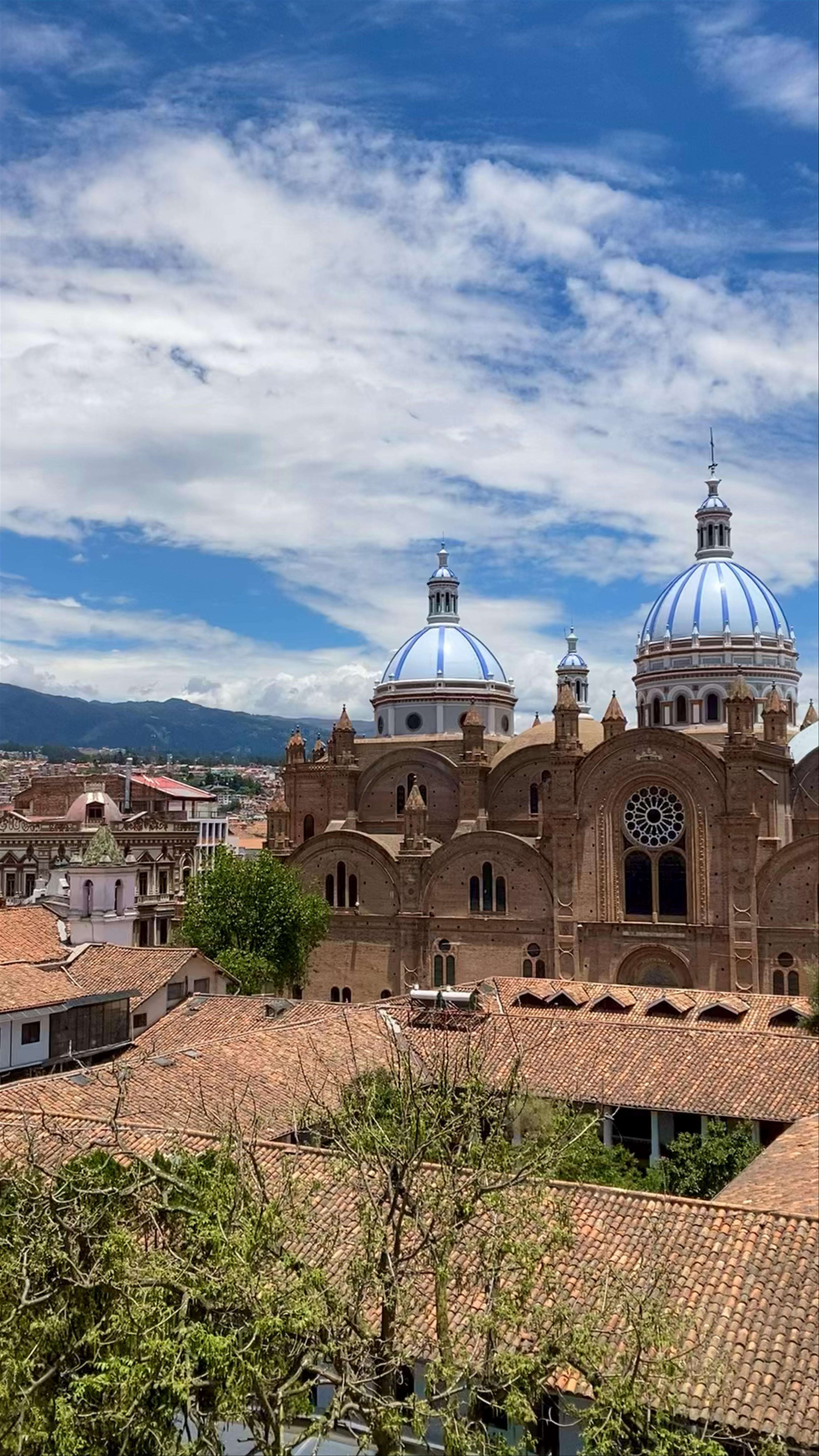Cathedral of the Immaculate Conception: Iconic Cuenca Skyline Views