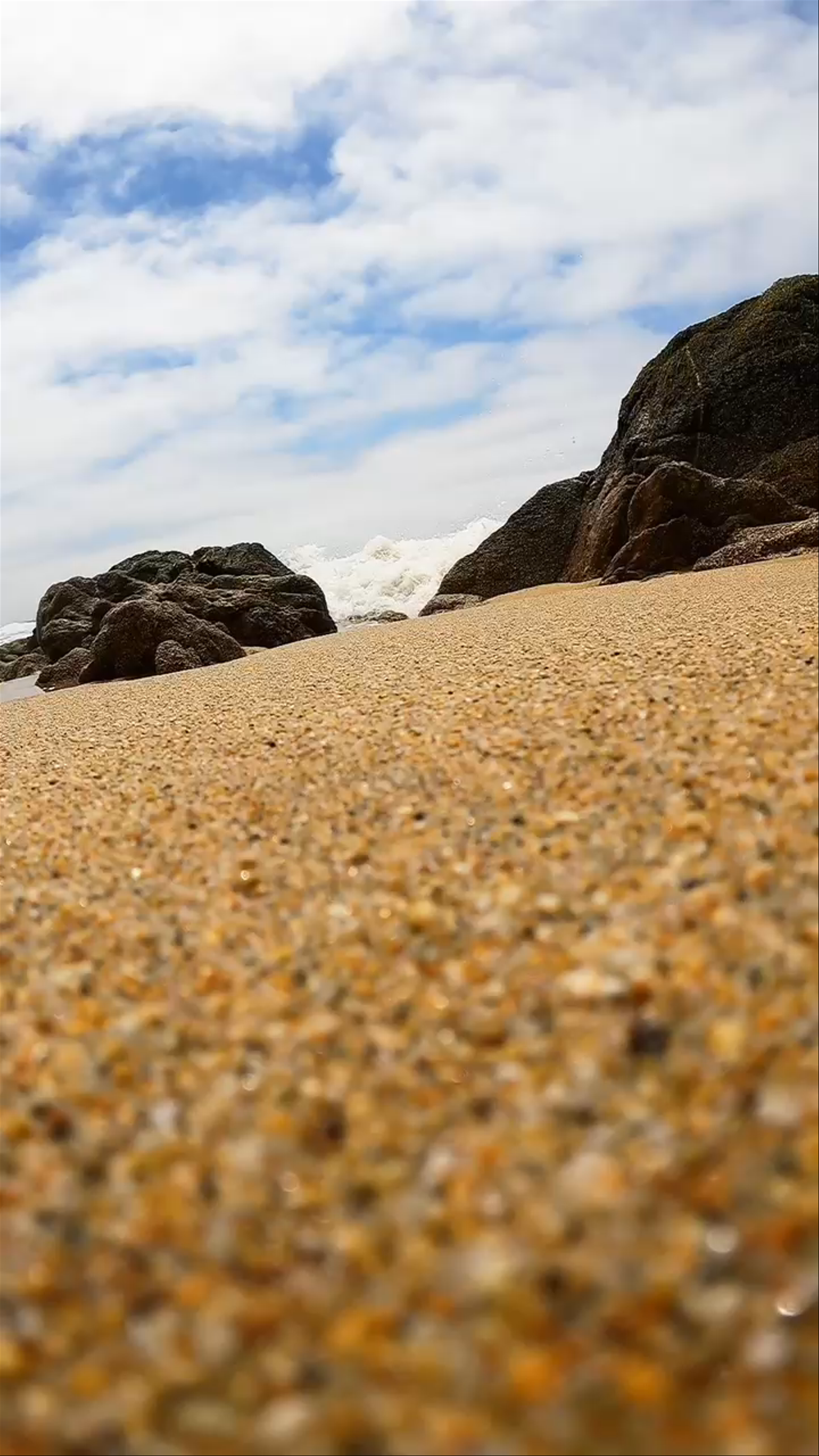 Gray Whale Cove State Beach