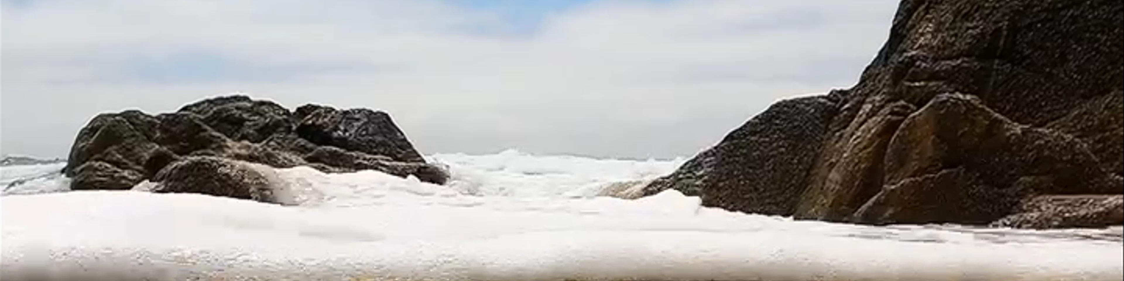Gray Whale Cove State Beach