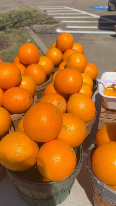 Richardson Farmers Market - video of the area! - Farmers Market Near Me - Richardson, Texas