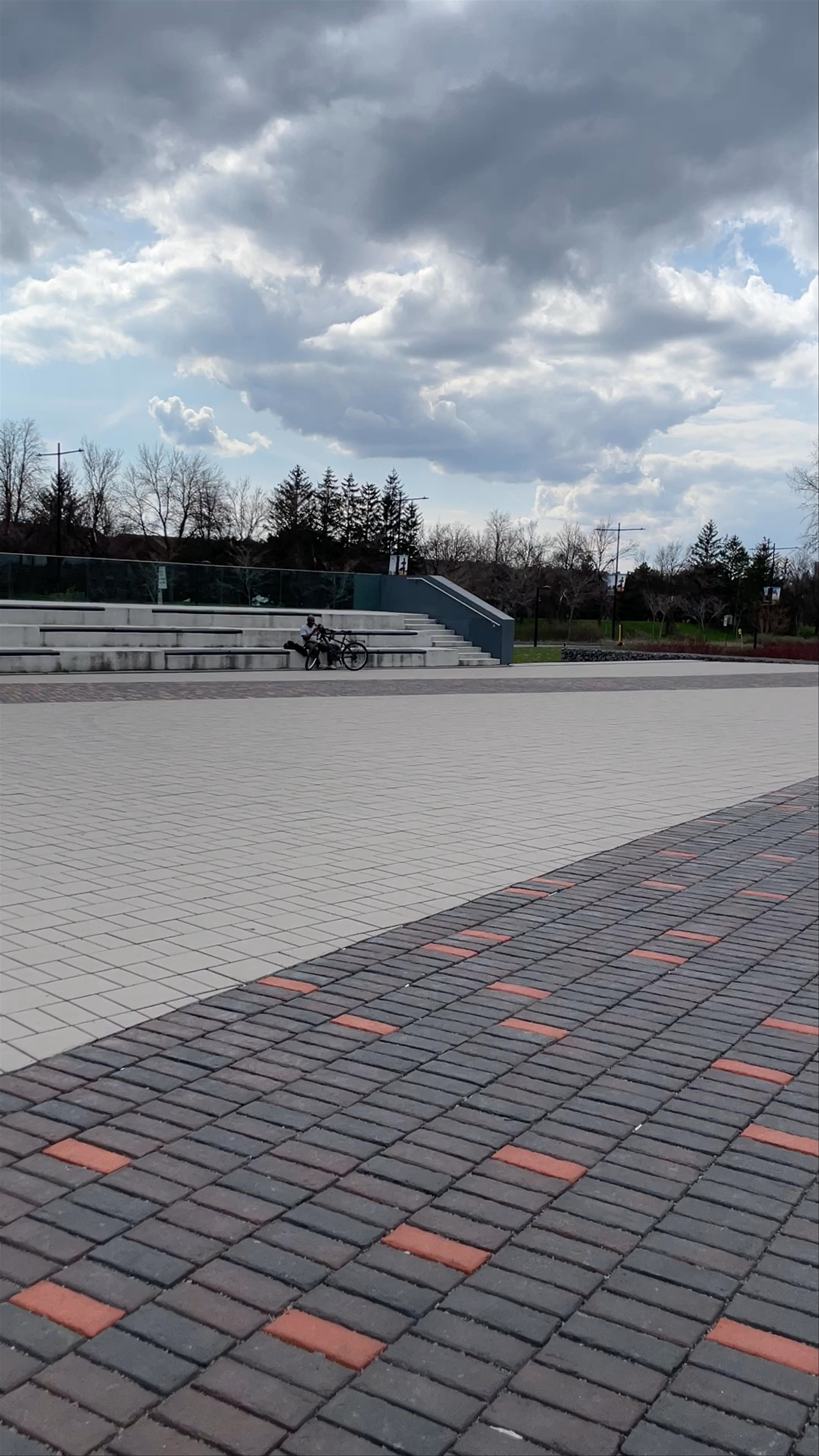 Parvis Papineau