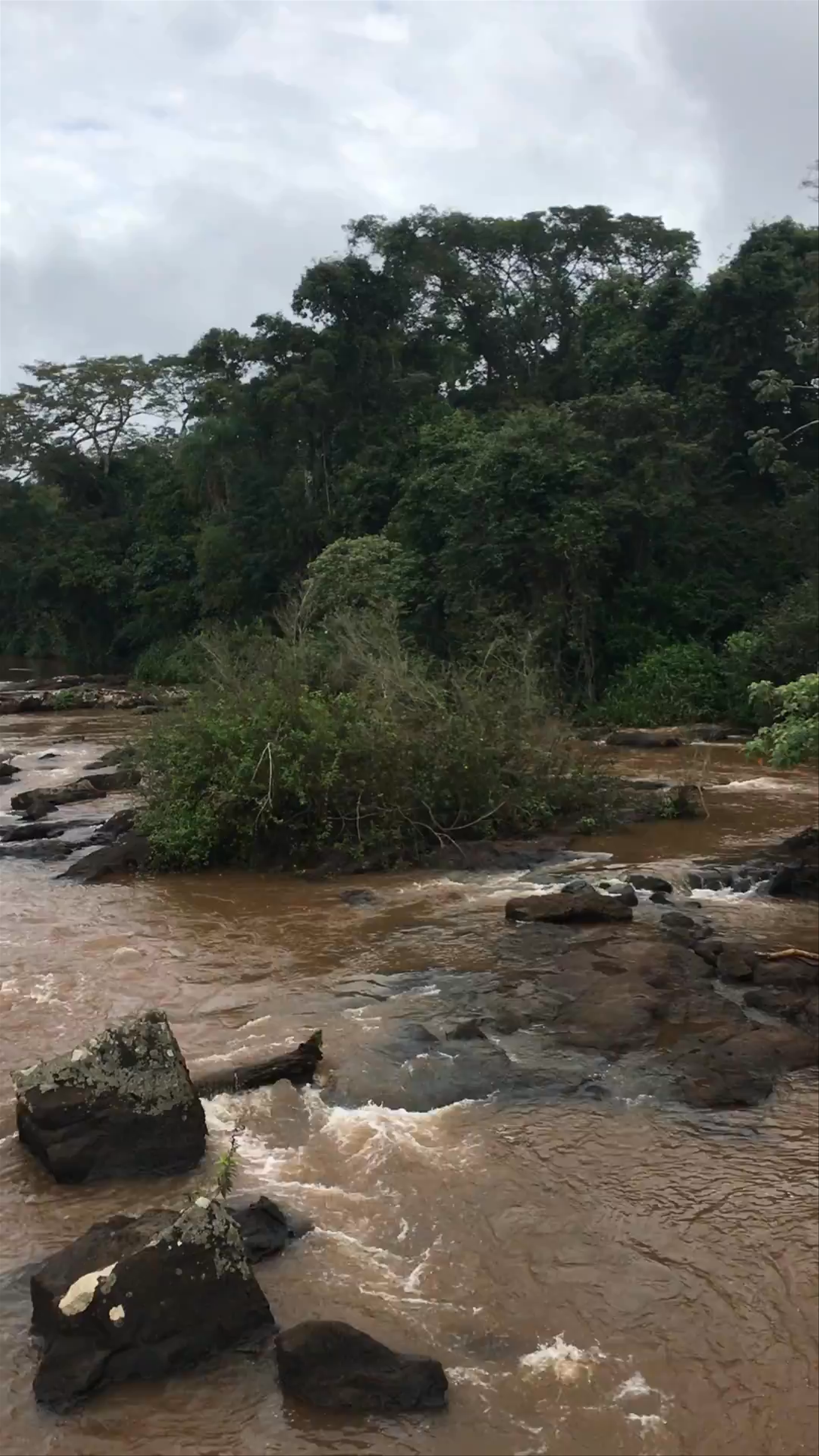 Iguazu Falls