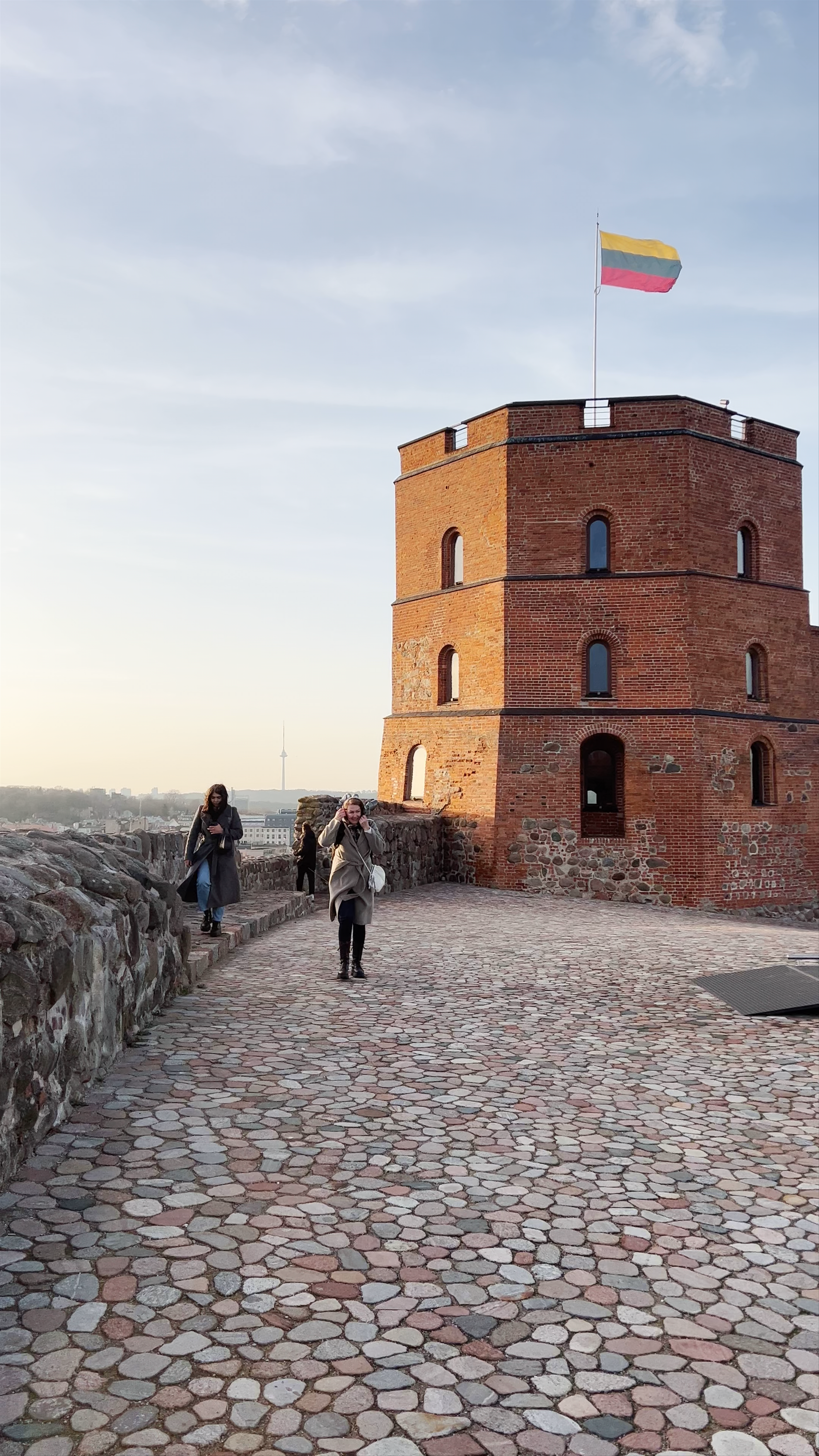 Gediminas Castle Tower