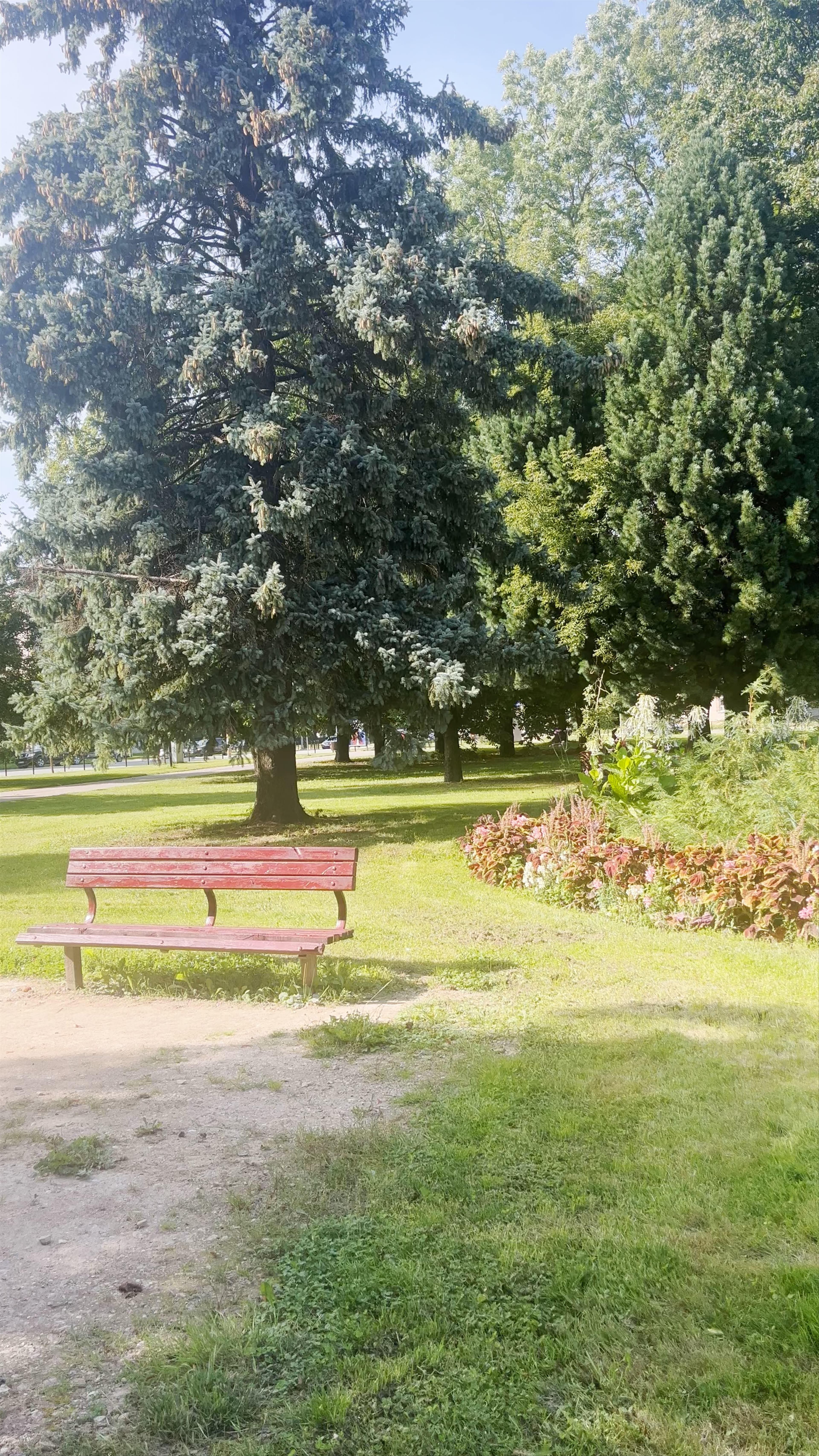 Stacijas Parks: Serene Green Escape in Jelgava, Latvia