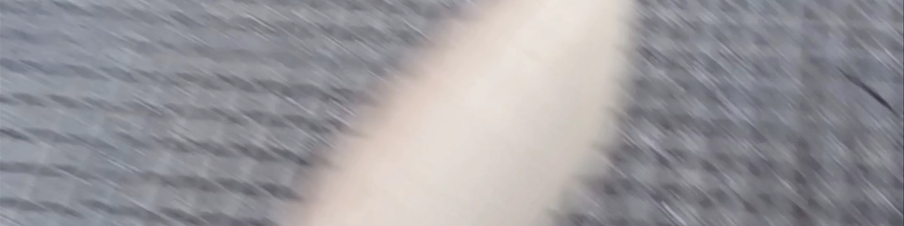 Tenoro